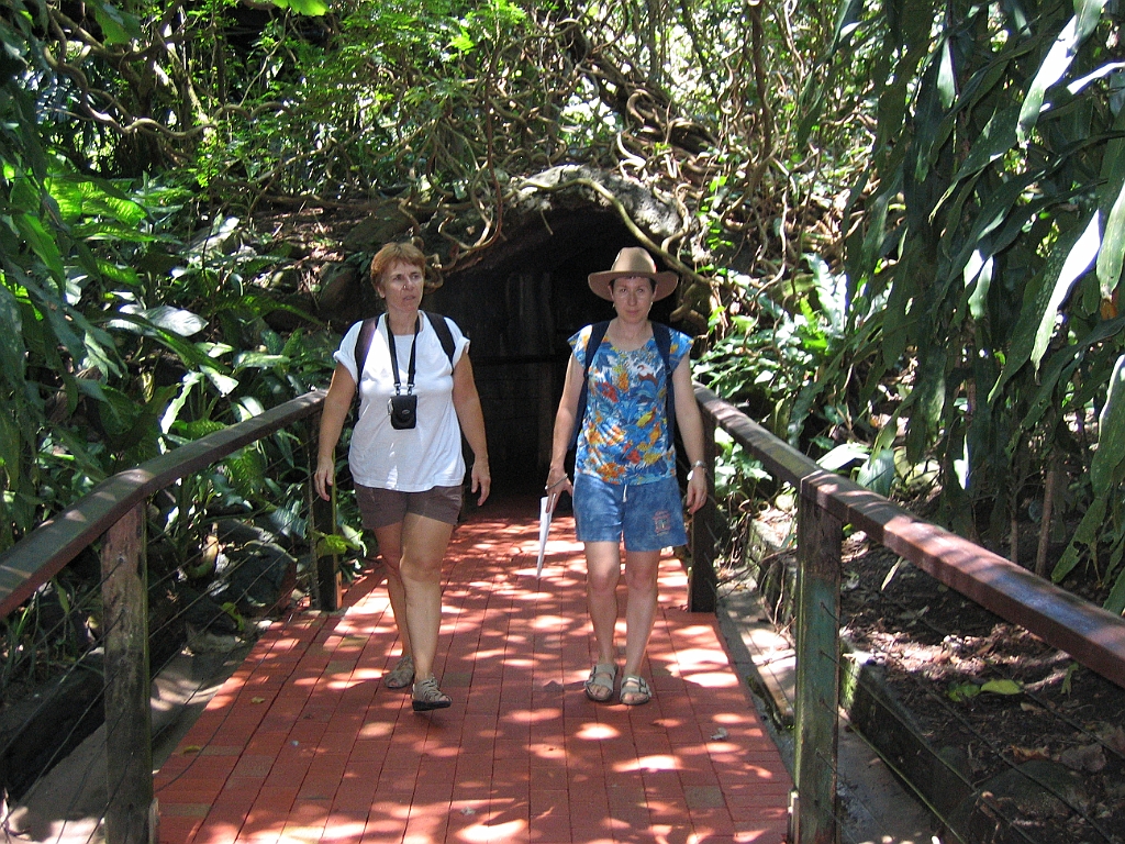 CairnsTC277 Wildlife Habitat.jpg